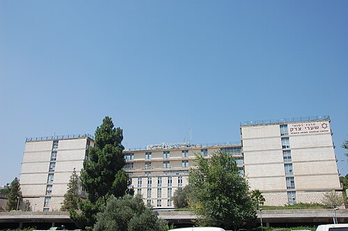 testi.JPG